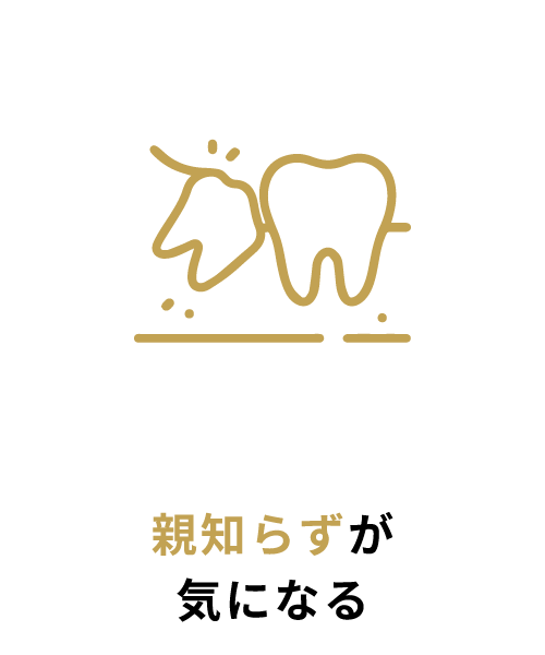 ギャラリー画像08